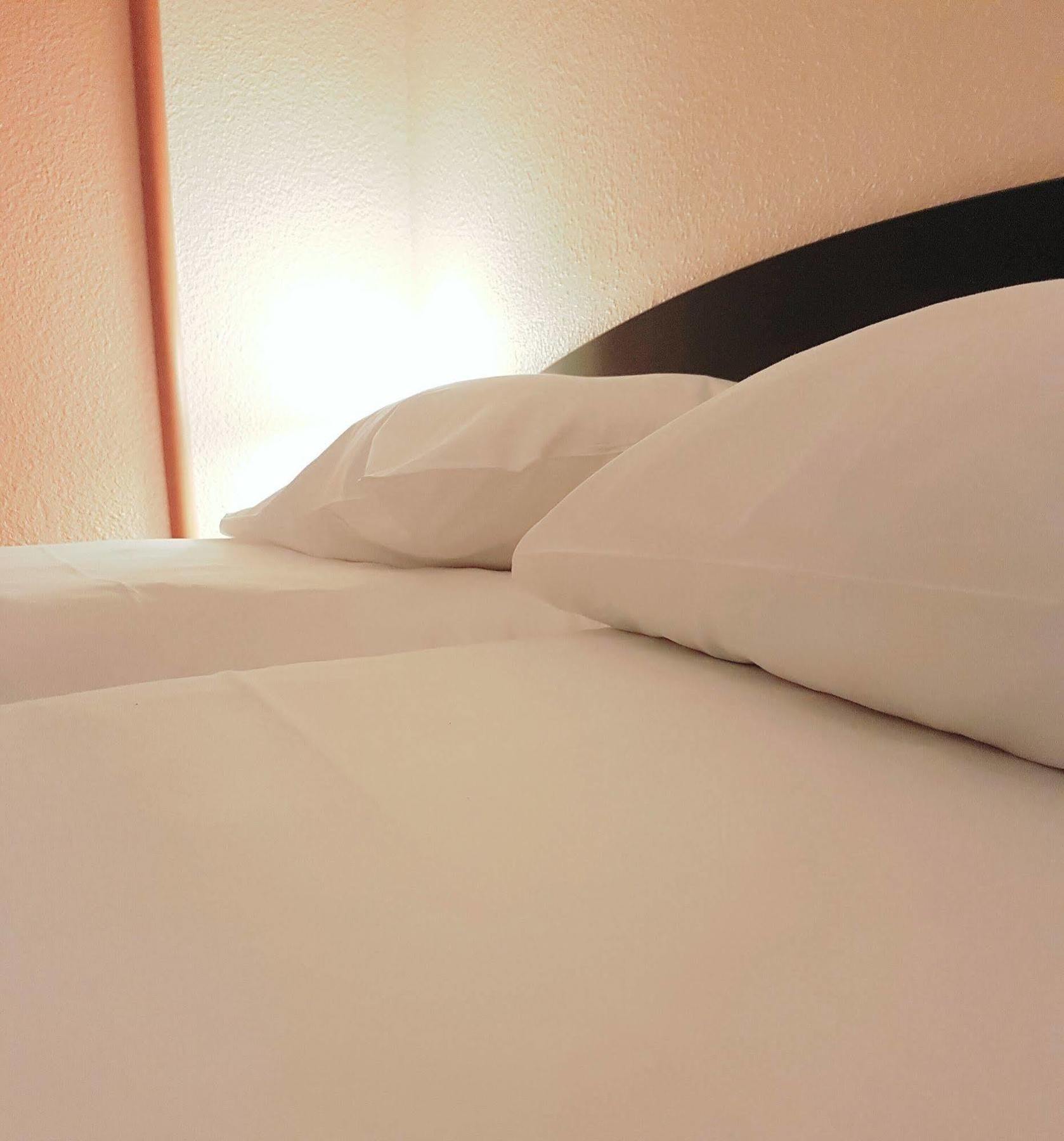 Ibis Porte De Genève